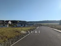 Prodej pozemku pro bydlení, Olešná, 1130 m2