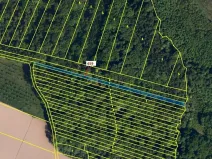 Dražba lesa, Hradčany-Kobeřice, 1895 m2