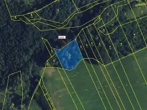 Dražba lesa, Spešov, 1590 m2