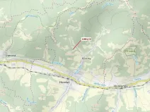 Dražba lesa, Hovězí, 933 m2