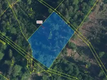 Dražba lesa, Jílové u Držkova, 2349 m2