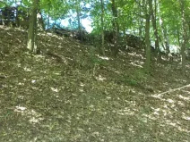 Dražba pozemku pro bydlení, Stará Paka, 1210 m2