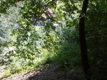 Dražba pozemku pro bydlení, Stará Paka, 1210 m2