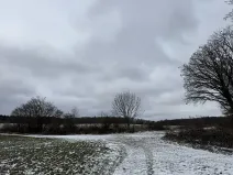 Dražba pole, Vyškov, 89174 m2