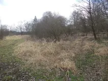 Prodej pozemku, Novosedly nad Nežárkou, 6591 m2