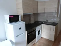 Pronájem bytu 1+kk, Praha - Michle, Čapkova, 20 m2