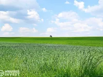 Prodej pozemku pro bydlení, Dlouhá Loučka, 1515 m2