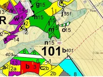 Dražba lesa, Semily, 561 m2