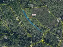 Dražba lesa, Zubrnice, 815 m2