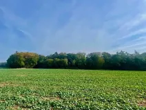 Prodej pole, Praha - Liboc, Na Padesátníku I, 24066 m2