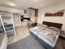 Prodej bytu 1+kk, Dolní Morava - Velká Morava, 54 m2