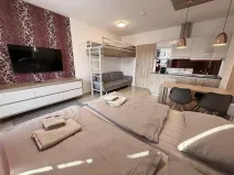 Prodej bytu 1+kk, Dolní Morava - Velká Morava, 54 m2
