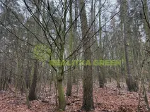 Prodej lesa, Konice, 10385 m2