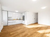 Prodej bytu 3+kk, Praha - Karlín, Molákova, 69 m2