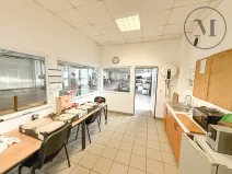 Pronájem výrobních prostor, Lišov, Miletínská, 1000 m2