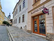 Pronájem obchodního prostoru, Písek, Smetanova, 21 m2