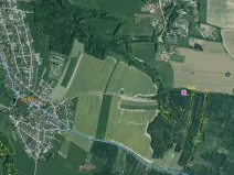 Prodej lesa, Srubec, 677 m2