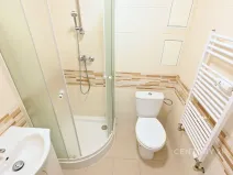 Pronájem bytu 1+1, Most, Antonína Dvořáka, 29 m2