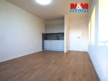 Pronájem bytu 1+kk, Bohumín, Svat. Čecha, 29 m2