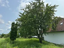 Prodej pozemku pro bydlení, Lešany, 1000 m2