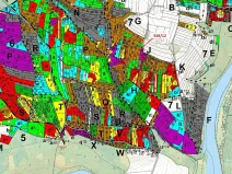 Dražba lesa, Hosty, 418 m2