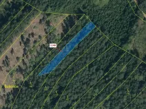 Dražba lesa, Vilice, 1105 m2