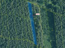 Dražba lesa, Hosty, 1258 m2