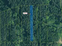 Dražba lesa, Hosty, 1729 m2