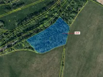 Dražba lesa, Budišov nad Budišovkou, 7776 m2