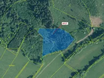 Dražba lesa, Nezdice na Šumavě, 10638 m2