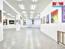 Pronájem obchodního prostoru, Louny, Říční, 216 m2