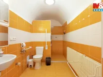 Prodej rodinného domu, Staré Město pod Landštejnem, 200 m2