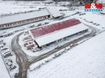 Prodej obchodního prostoru, Hřibiny-Ledská - Hřibiny, 900 m2