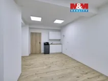 Pronájem kanceláře, Dobřany, Alšova, 55 m2