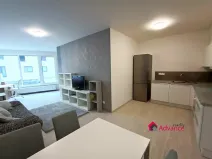 Pronájem bytu 1+kk, Ostrava, Důlní, 54 m2