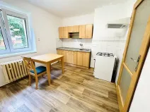 Pronájem bytu 1+1, České Budějovice, Generála Svobody, 60 m2