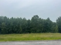 Dražba pozemku pro bydlení, Slavče, 1251 m2