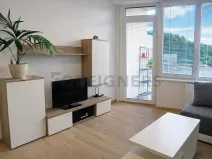 Pronájem bytu 1+kk, Brno, Vídeňská, 32 m2