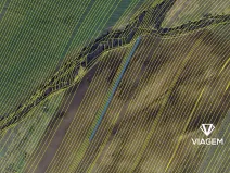 Prodej pole, Šumice, 1421 m2