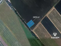 Prodej pole, Podivín, 3815 m2