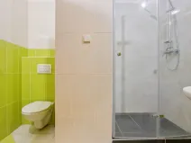 Pronájem bytu 1+1, Rokycany, Pod Ohradou, 35 m2