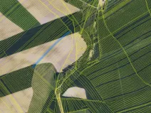 Prodej pole, Dambořice, 12804 m2