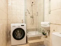 Prodej bytu 1+1, Olomouc - Nová Ulice, Pionýrská, 45 m2