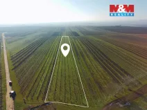 Prodej pole, Velké Bílovice, 7286 m2