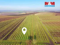 Prodej pole, Velké Bílovice, 3600 m2