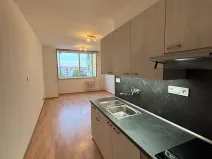 Pronájem bytu 1+kk, Veselí nad Moravou, Chaloupky, 30 m2
