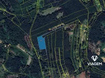 Prodej podílu lesa, Psáry, 2001 m2