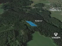 Prodej lesa, Loužnice, 6242 m2