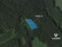 Prodej lesa, Loužnice, 6242 m2