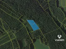 Prodej lesa, Loužnice, 6242 m2